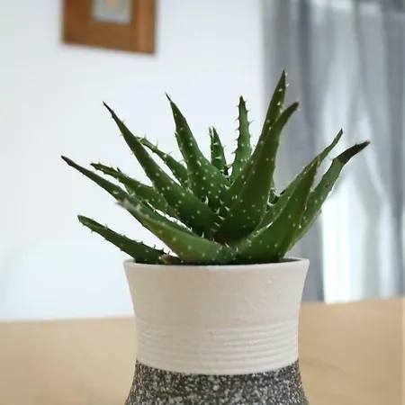 Casa Do Azulejo - Orange Appartement *